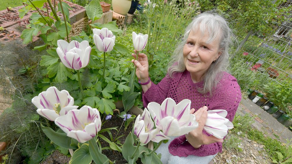 Tulpen sind in diesem Jahr ein Schwerpunkt im Garten von Hildegard Sjoukje Uken. Dafür hat sie im vergangenen Herbst 300 Zwiebeln eingegraben. Fotos: Ortgies