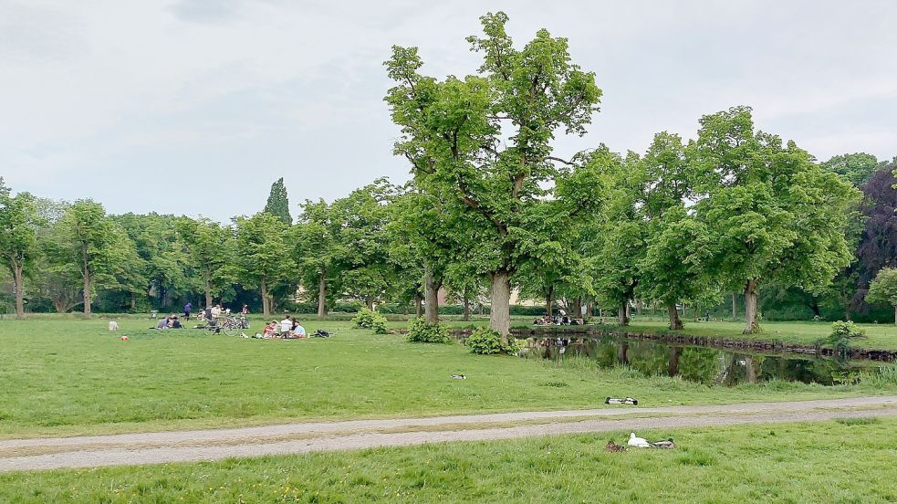 Treffpunkt im Grünen: Das Parkgelände am Schwanenteich ist bei Jugendlichen in Emden beliebt. Weil manche laut feiern und offenbar öffentlich Drogen nehmen, wird der Ruf nach Konsequenzen lauter. Foto: Hanssen