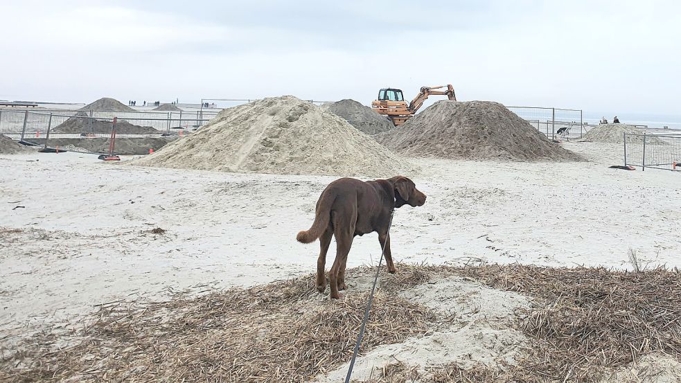 Noch sieht es im Westteil der neuen Wasserkante Norddeich nach Baustelle aus. Schon bald sollen hier aber Kinder spielen und auch Hunde wieder am Strand und im Wasser laufen können. Foto: Rebecca Kresse