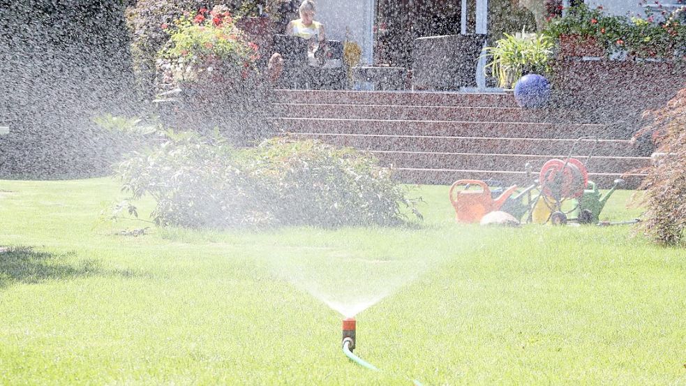 So bleibt Ihr Garten auch bei großer Hitze schön grün. Foto: dpa/Nestor Bachmann