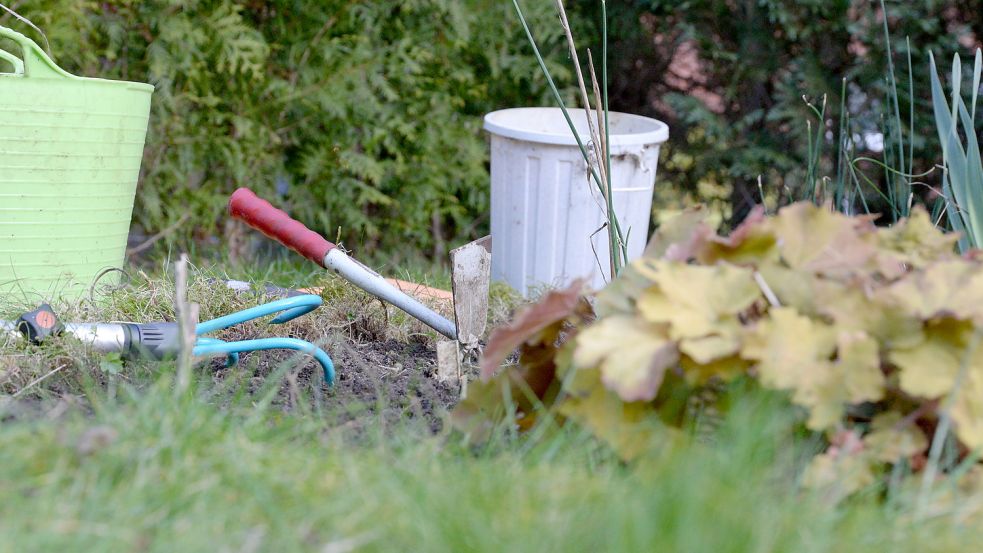 Werkzeuge sollten im Garten nach der Arbeit gereinigt werden, damit man keine Erreger verschleppt. Foto: Lüppen