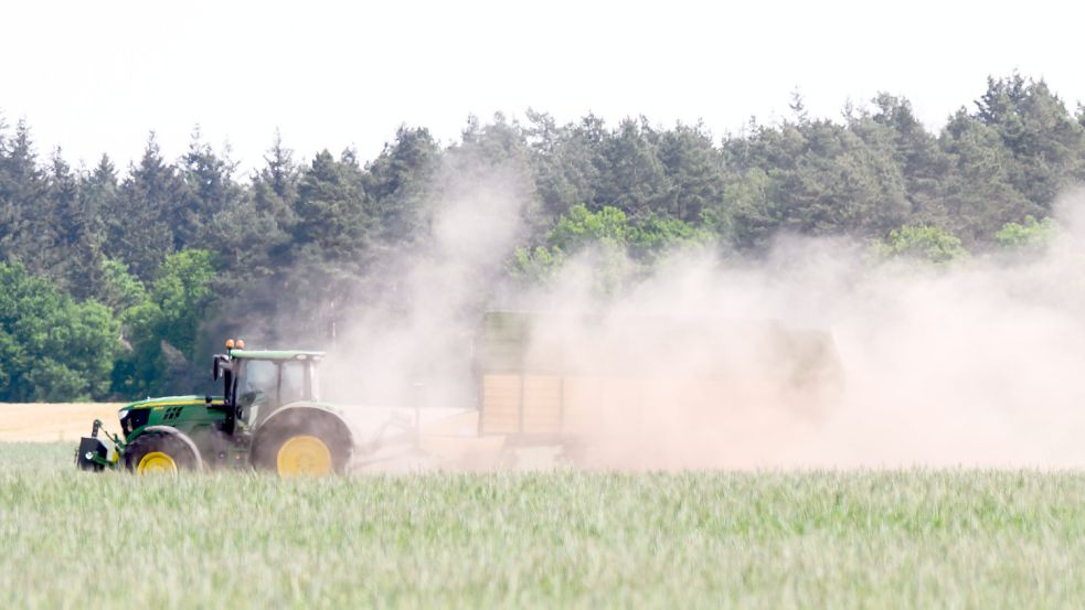 Zukünftig können die Sommer durch den Klimawandel immer trockener ausfallen. Für die Landwirtschaft kann das zu einem Problem werden, vor allem auf Geestboden. Foto: Stratenschulte/dpa