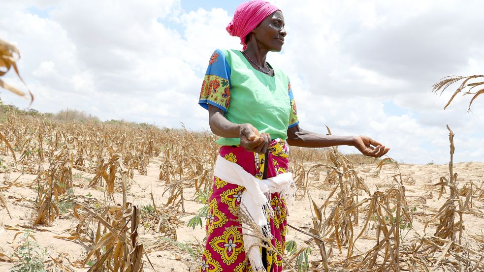 Der Ukraine-Krieg sorgt für Verwerfungen auf den Weltmärkten. Hinzu kommen aktuell Dürren in Afrika. Die Bundesregierung sorgt sich vor einem Hunger-Sommer. Foto: Dong Jianghui/dpa