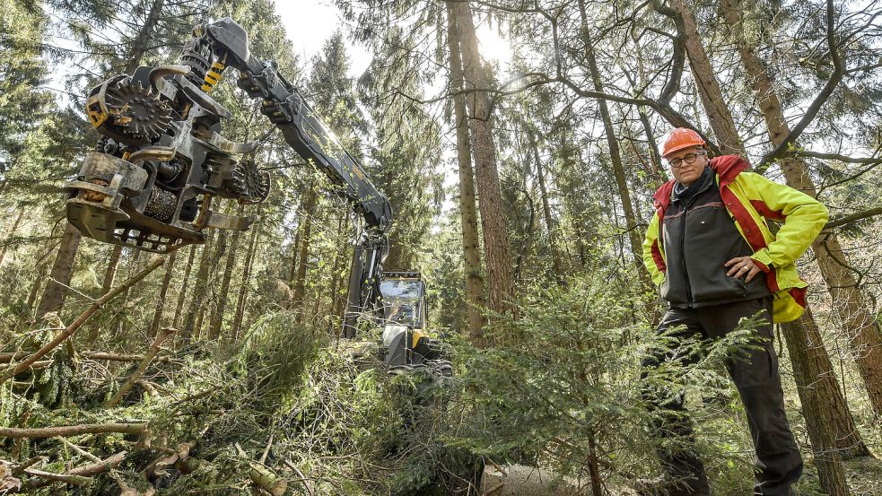 Wegen zwei Stürmen im Februar dieses Jahres, mussten die Wälder in Gerd Dählmanns Revier von umgestürzten Bäumen befreit werden. Foto: Ortgies