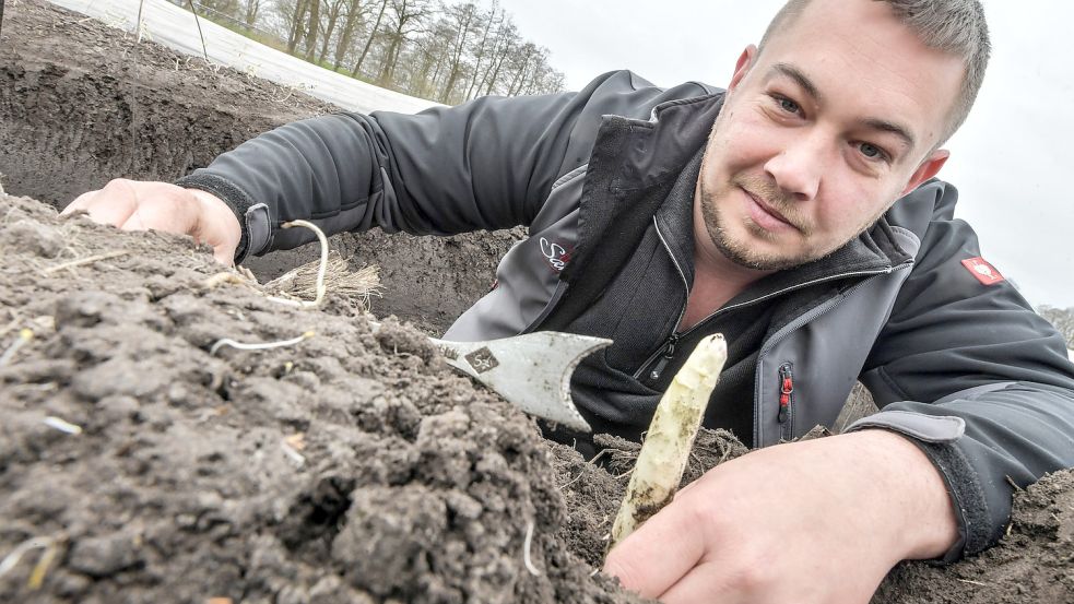 Daniel Santen ist Spargelbauer in Diele. Er weiß, was es mit dem „Spargelsilvester“ auf sich hat und warum Ende Juni die Erntesaison beendet werden sollte. Foto: Ortgies/Archiv