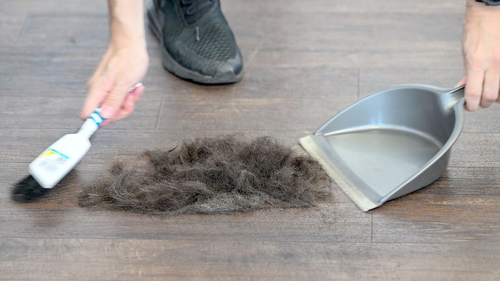 Beim Friseur kommen täglich haufenweise abgeschnittener Haare zusammen. In den Müll müssen die aber noch lange nicht. Foto: Arne Dedert/dpa