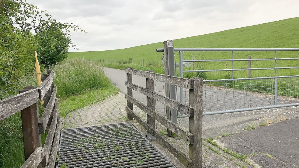 Die Viehroste, die von Fahrradfahrern problemlos durchfahren werden können, verhindern, dass die Schafe ihre Beweidungsflächen verlassen können. Foto: Gettkowski