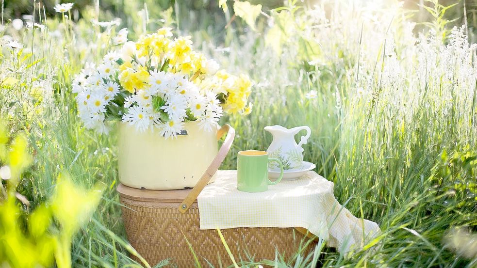 Ganz klassisch wird das Picknick-Zubehör und Essen wie Trinken in einem geflochtenen Korb transportiert. Symbolfoto: Pixabay