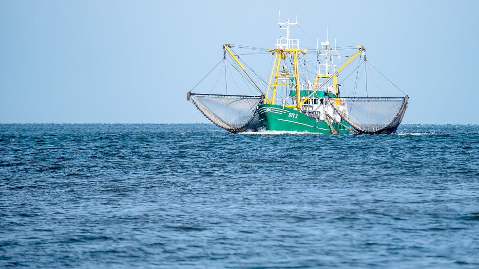 Der Krabbenkutter „Stiene Bruhns“ (DIT 3) in der Nordsee. Der WWF fordert mehr Nachhaltigkeit bei der Fischerei in Nord- und Ostsee. Foto: Sina Schuldt/dpa
