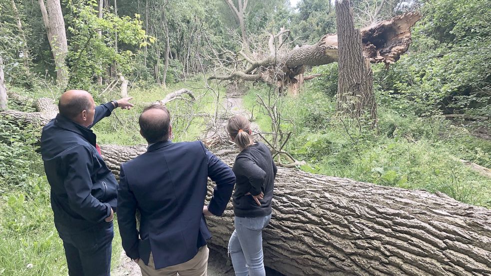 BEE-Betriebsleiter Nils Andersson erläuterte den Ratsvertretern das Ausmaß der Sturmschäden entlang des Radweges. Fotos: H. Müller