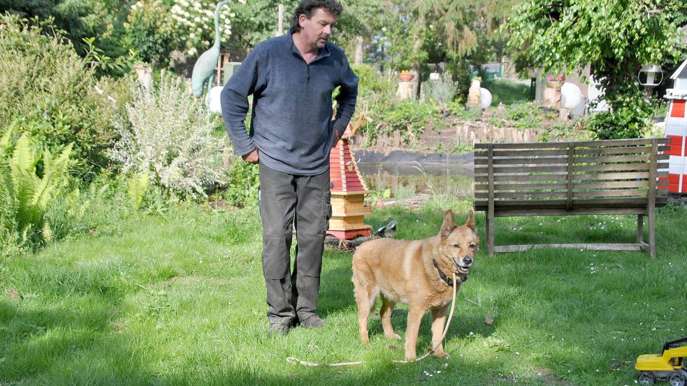 Schäferhundmischling Rayo, der von Eckernförde nach Wiesmoor kam, brachte André Kamminga (Foto) und Paggy Hellenthal auf die Idee der Omi-Kreises. Foto: Schönig