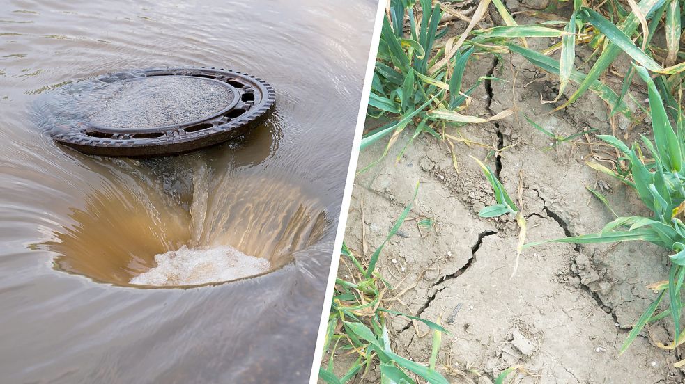 Mal fällt viel zu viel Regen in kürzester Zeit, mal ist es wochenlang viel zu trocken. Der Klimawandel stellt uns vor große Herausforderungen. Fotos: DPA