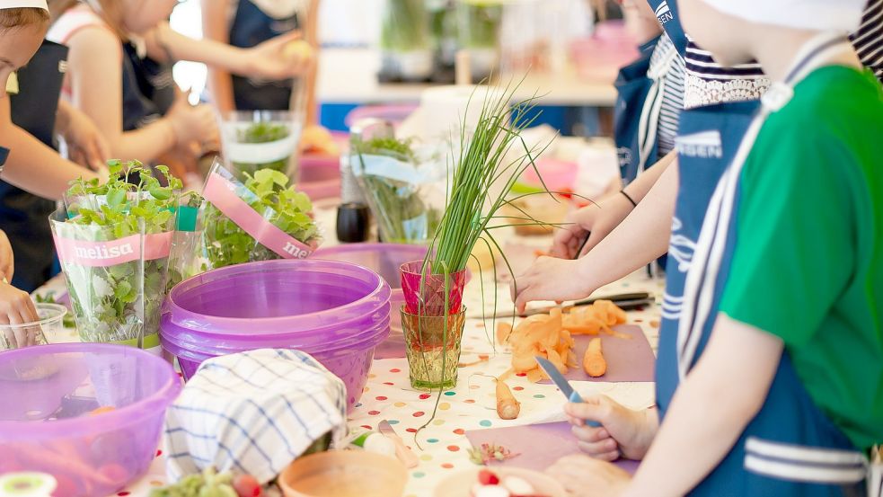 In der Gemeinde Hinte wünscht man sich einheitliche hohe Standards bei der Versorgung von Schul- und Kitakindern. Symbolfoto: Pixabay