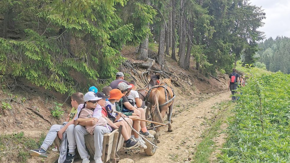 Per Kutsche geht es zur Wald-Schule.