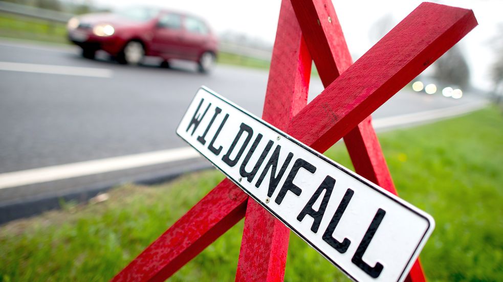 Ein rotes Dreibein mit dem Hinweis „Wildunfall“ markiert Bereiche, in denen es zu einem Wildunfall gekommen ist. Foto: Dittrich/DPA
