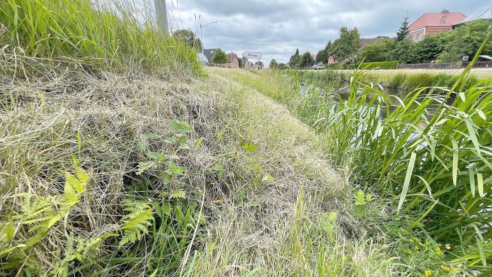 Unter anderem wird die Böschung saniert. Fotos: Hellmers