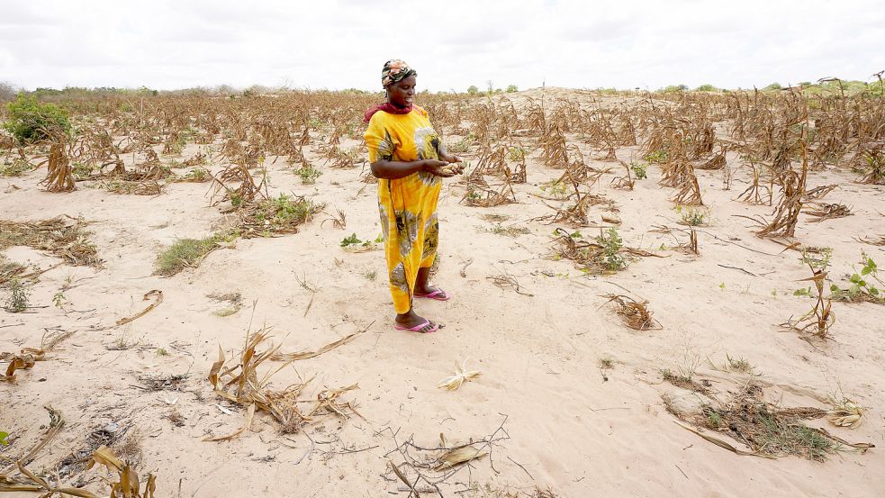 Verdorrtes Maisfeld: Der Klimawandel befördert Nahrungskrisen in Afrika. Viele Menschen können ohne Nahrungsmittelhilfen nicht überleben. Foto: picture alliance/dpa/XinHua
