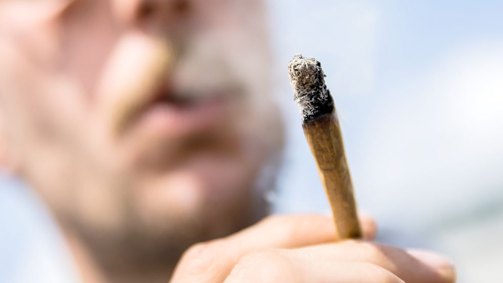 Cannabis soll bald legal werden. Darf dafür dann geworben werden? Foto: dpa/Christoph Soeder (Symbolfoto)