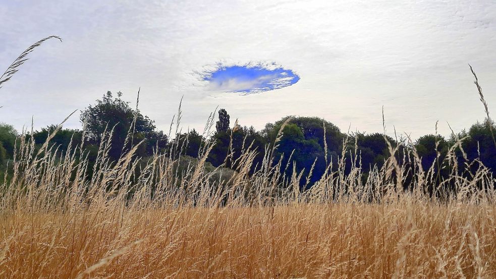 DK-Leser Christoph Kulhoff hat am Dienstagmorgen eine seltene Hole-Punch Cloud über Delmenhorst beobachtet und fotografiert. Foto: Christoph Kulhoff