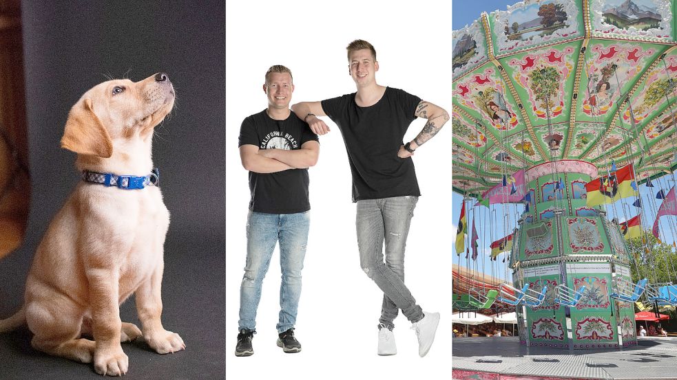 Auf den Hund gekommen: „Layla“-Sänger DJ Robin & Schürze. Foto: Unsplash/Taylor Kopel; /dpa/Summerfield Records /Paul Pasytsch; dpa/Karl-Josef Hildenbrand