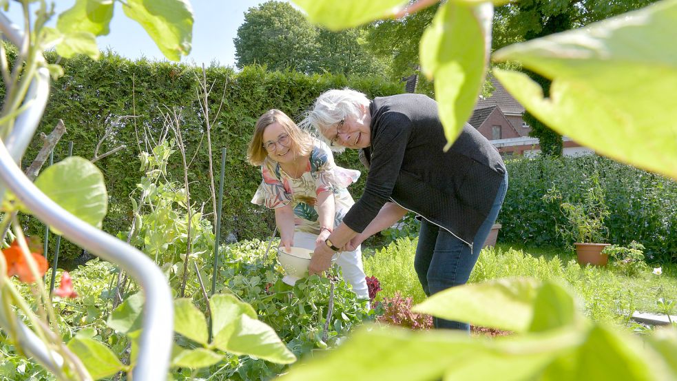 Gerlind (links) und Lotte Heisterhagen schätzen die Erbsen aus dem eigenen Garten. Foto: Ortgies