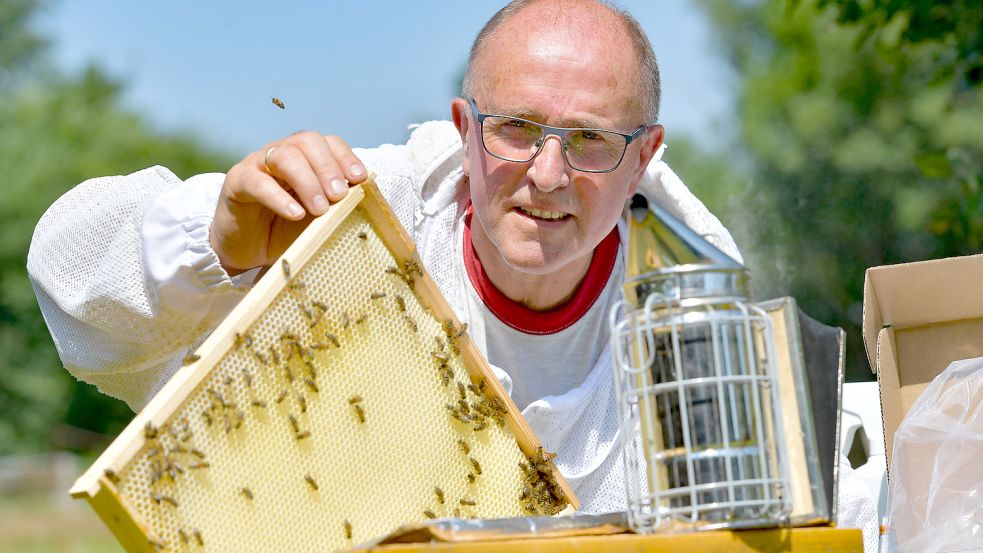 Imker Friedrich Kumler aus Ihlow zeigt, worauf es bei der Milbenbehandlung ankommt. Allerdings nur fürs Foto - bei der Hitze würden die Tiere die Säure nicht vertragen. Foto: Ortgies