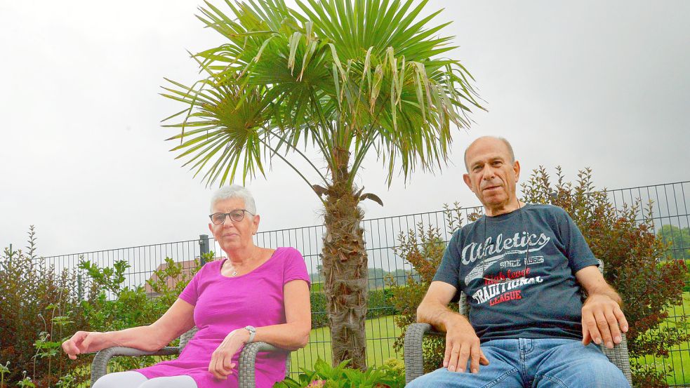 Sigrid und Udo Bressem freuen sich über den Anblick der üppigen Palmwedel. Fotos: Lüppen