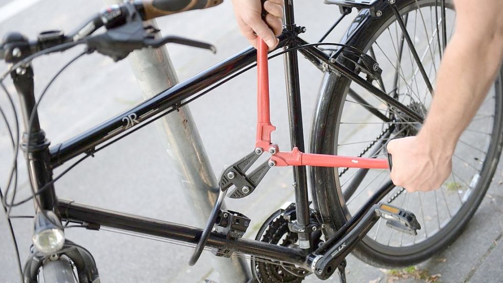 Die Polizei hat in Bremen vier Fahrraddiebe gestellt. Foto: dpa/Andreas Gebert