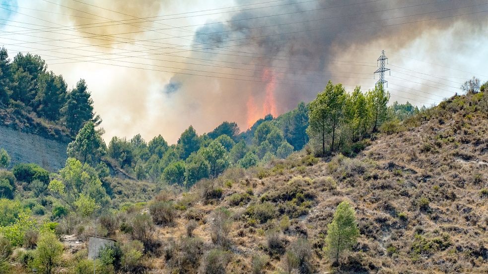 Spanien hat es in diesem Sommer mit übermäßig vielen Waldbränden zu tun. (Symbolbild) Foto: imago-images/Eric Reno