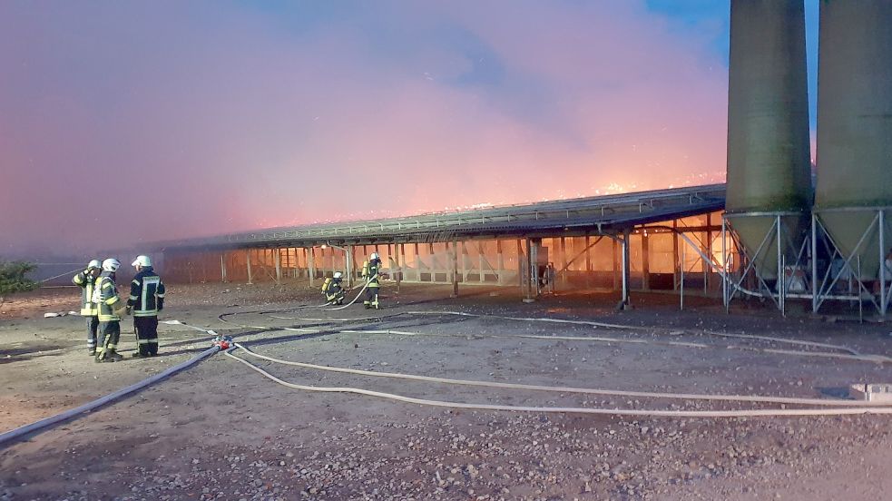 Ein Legehennenstall in Esterwegen ist komplett ausgebrannt, alle 9600 Tiere sind dabei verendet. Die Feuerwehr war stundenlang im Einsatz. Foto: Feuerwehr Hilkenborg