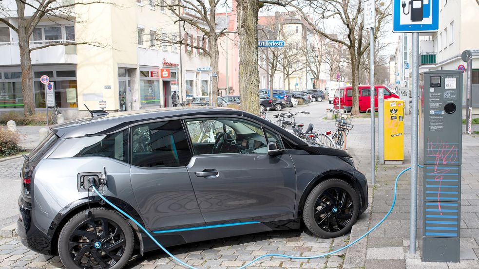 Ohne die staatlichen Zuschüssen würden Käufer bis zu 9000 Euro mehr für ein Elektroauto bezahlen müssen. Foto: dpa