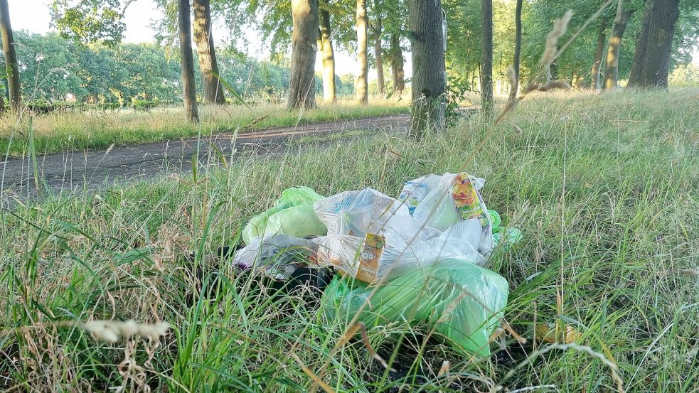 In der Allee zur Evenburg liegen andauernd Müllsäcke. Foto: privat