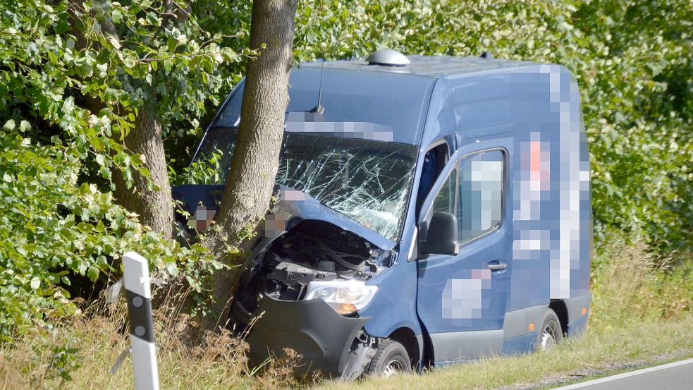 Der Springer prallte frontal gegen einen Baum. Foto: Weers
