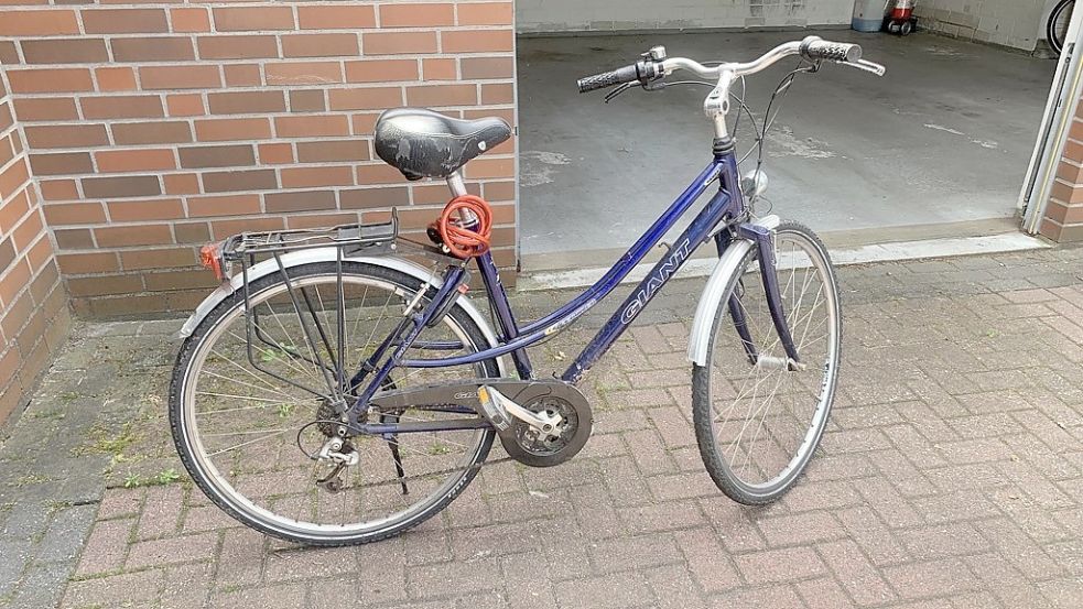 Dieses Damenrad wurde bei der Hausdurchsuchung ebenfalls entdeckt und als vermutliches Diebesgut sichergestellt.