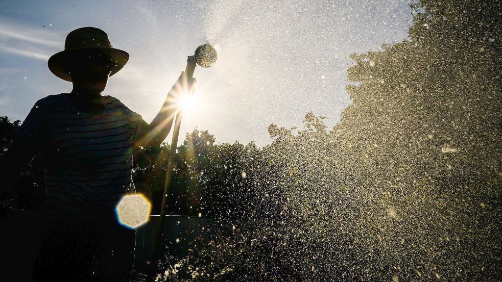 Eine Frau gießt in einem Garten ein Blumenbeet. Wasserversorger und das Umweltbundesamt empfehlen, zum Bewässern im Garten auf Regenwasser zurückzugreifen. Foto: Julian Stratenschulte/DPA