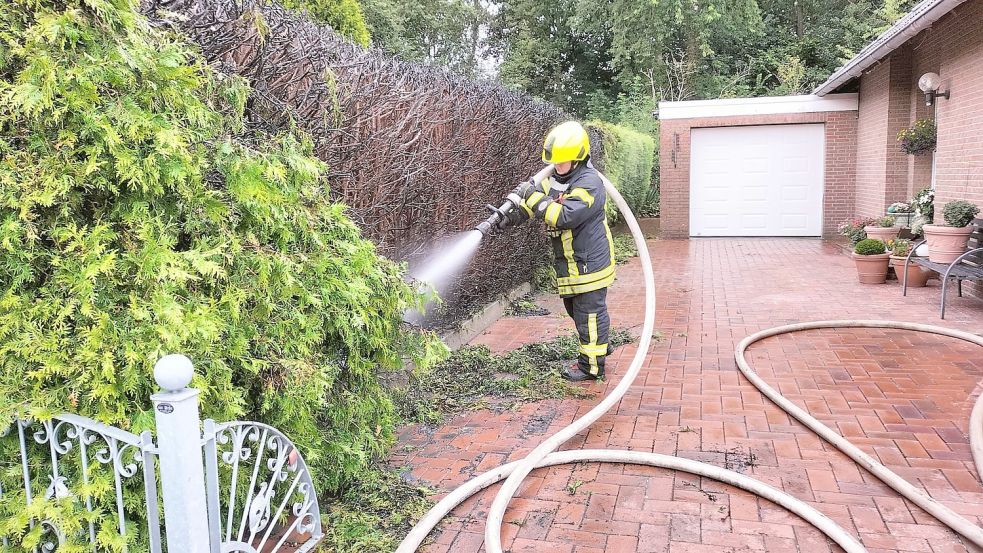 Die Hecke wurde schließlich abgelöscht. Foto: Wolters