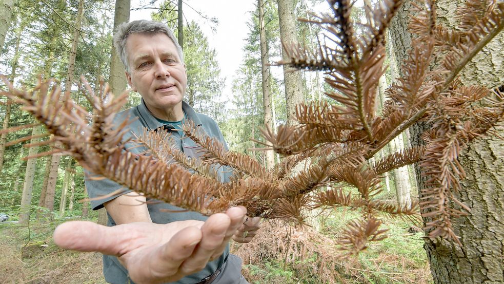 Gerd Dählmann ist Waldbrandbeautragter des Landkreises Leer. Foto: Ortgies