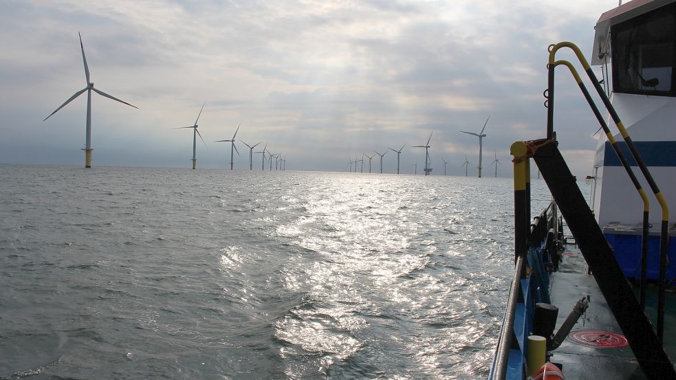Windräder im Windpark Riffgat vor Borkum, aufgenommen von einem Versorgungsschiff. Foto: Oltmanns