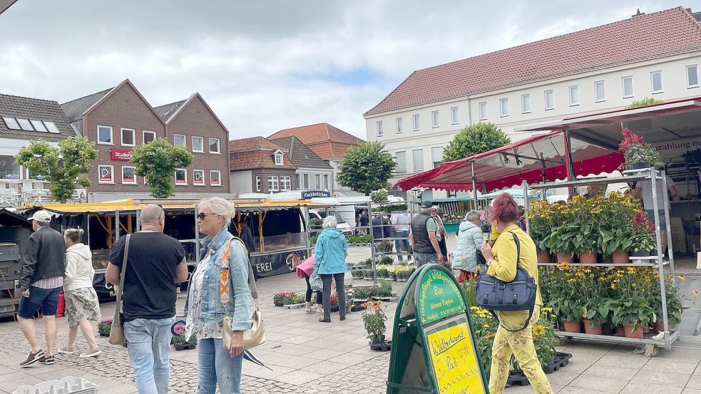 Die Pflanzzeit ist derzeit vorbei. Deshalb ist das Angebot bei den Beschickern nicht mehr ganz so üppig.