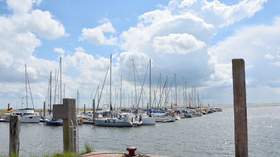 Im Yachthafen ereignen sich in „Dünendämmerung“ dramatische Szenen rund um die Yacht von Heiko van Gehlen, einem früheren Mitschüler von Kommissar Mütze, der wie der Autor in Dortmund sein Abitur ablegte.