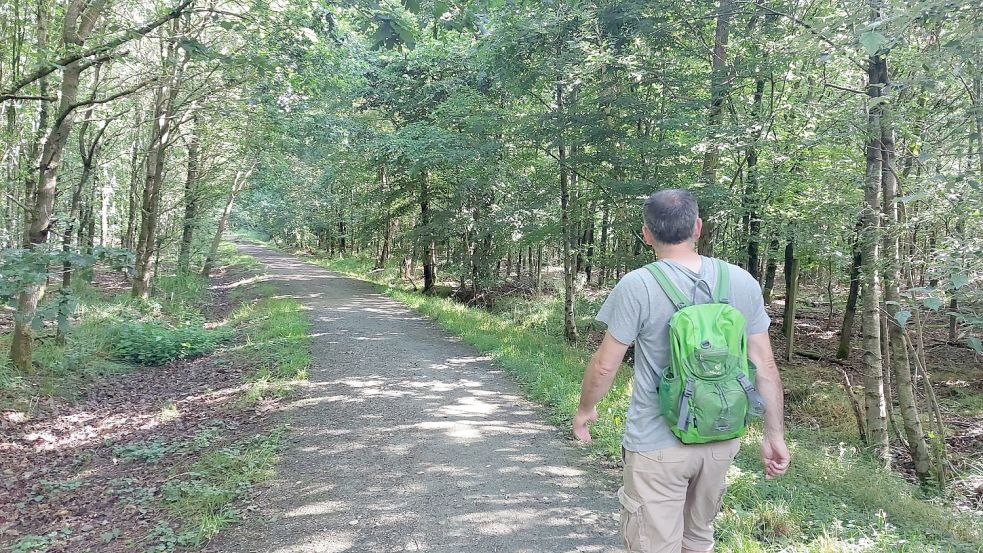 Auch im noch jungen Emder Stadtwald kann man bei einem Spaziergang abschalten. Hier waren wir mit Stefan Rölling von der Naturforschenden Gesellschaft unterwegs. Foto: Hanssen/Archiv