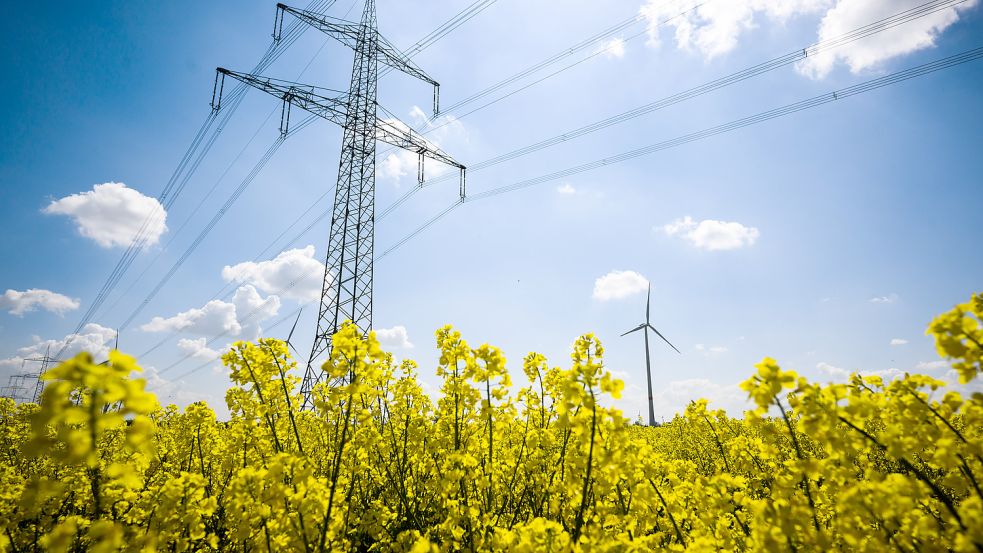 In Deutschland wurden im Jahr 2020 insgesamt 44 Prozent des Stromes regenerativ erzeugt. Es könnte wesentlich mehr sein. Foto: Stratenschulte/dpa