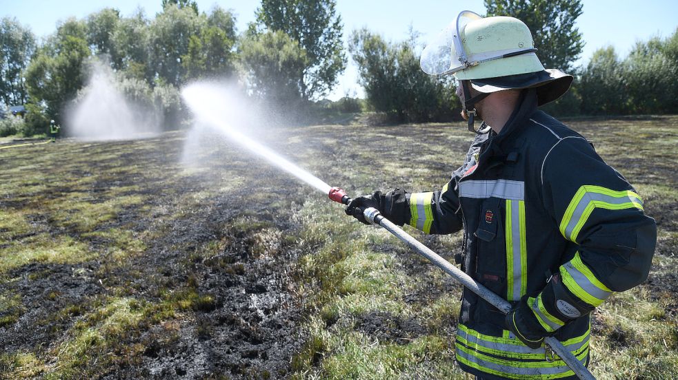 Die Feuerwehren aus Detern, Filsum und Amdorf haben am Donnerstagmittag einen Flächenbrand gelöscht. Foto: Ellinger