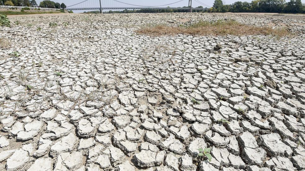 Die Loire kann in weiten Teilen aktuell durchquert werden - nass wird man dabei nicht. Foto: dpa/AFP