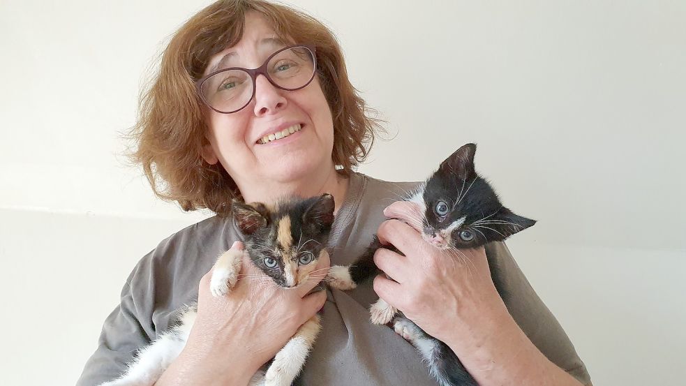 Andrea Pastoor betreut aktuell noch zwei Katzenmütter mit Nachwuchs. Wenn sie alt genug sind, werden die Tiere vermittelt. Foto: Gettkowski