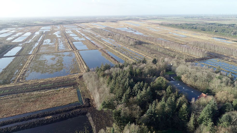 Das abgetorfte Gebiet Klinge/Pallerwieke zwischen Wiesmoor und Marcardsmoor wird wiedervernässt und ist heute Naturschutzgebiet. Foto: Stulken