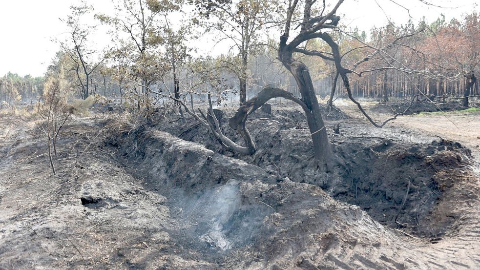 Das Feuer an der Atlantikküste bei Bordeaux ist unter Kontrolle. Foto: Ervin Shulku/ZUMA Press Wire/dpa