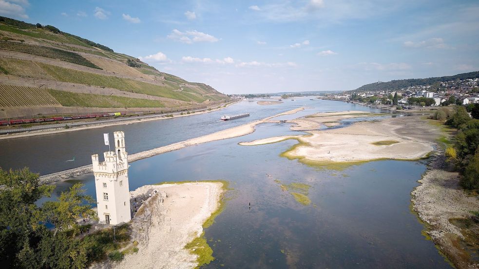 Bei Bingen ist eine Insel im Rhein aufgrund des Niedrigwassers derzeit zu Fuß erreichbar. Foto: Thomas Frey/dpa