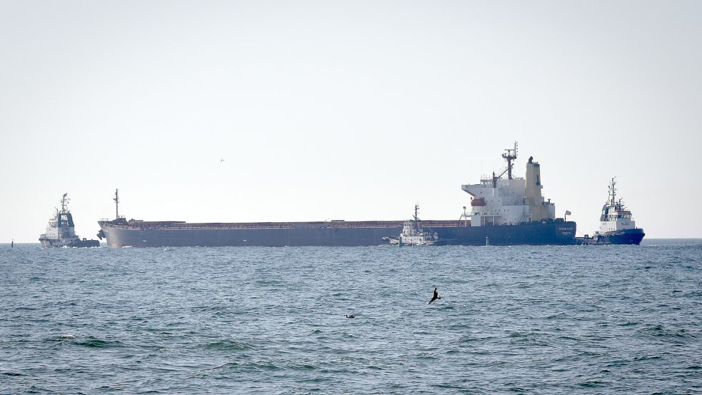 Knapp 65.000 Tonnen Mais transportiert die „Ocean Lion“ aus der Ukraine nach Südkorea. Auch Leeraner Reeder bringen sich in Stellung. Foto: Michael Shtekel/AP/dpa