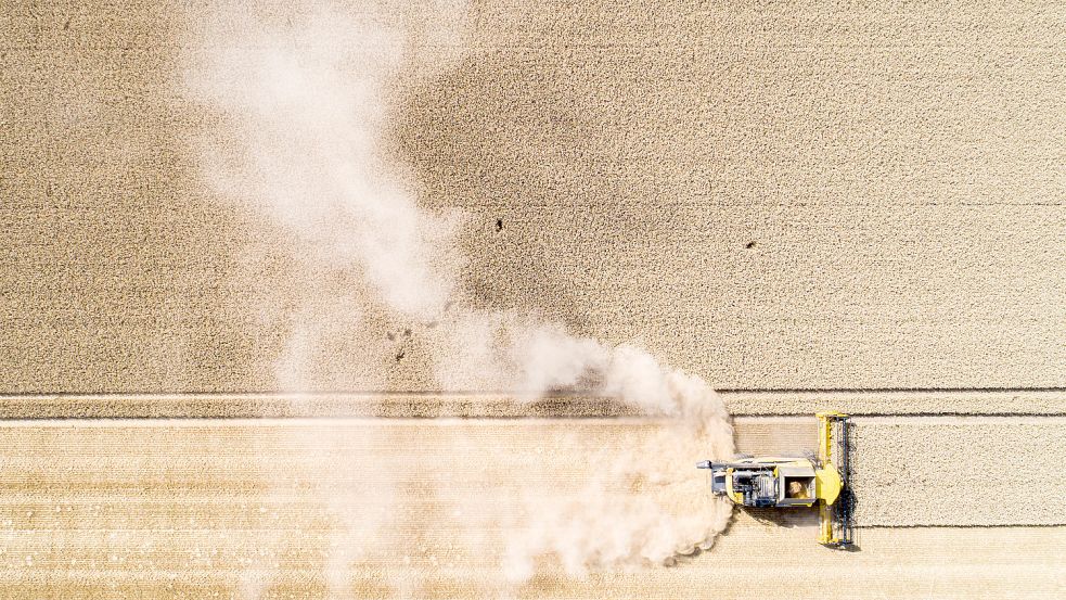 Das Landvolk ist angesichts der Trockenheit in Sorge um die Ernte in Niedersachsen. Foto: Julian Stratenschulte/dpa